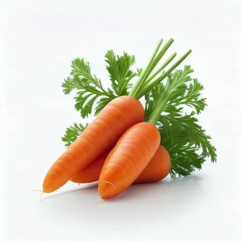Carrot