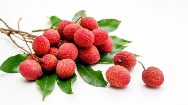 Litchi