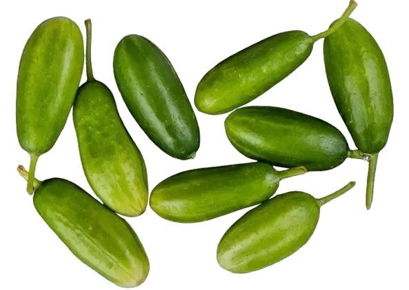 Little gourd(Kundru)