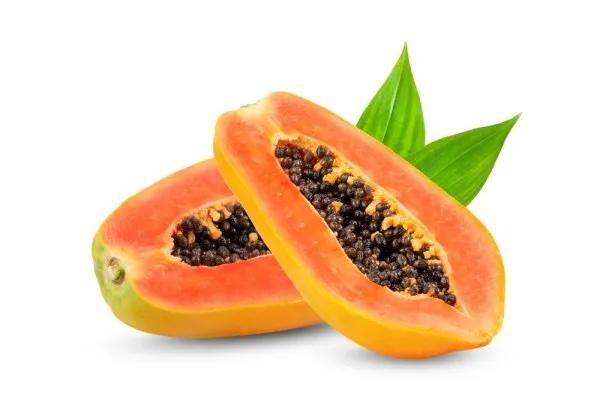 Papaya