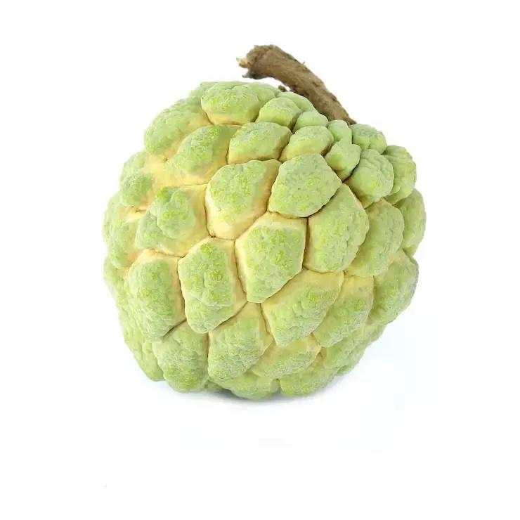 Seetapal