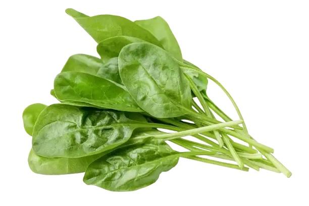 Spinach