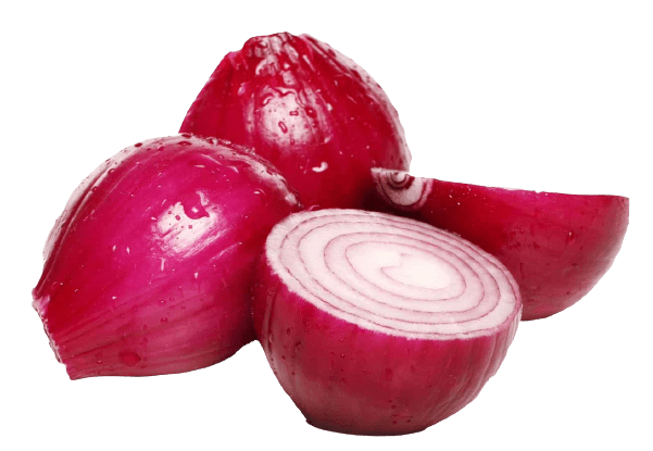  24 September 2023 Maharashtra Onion Rate 